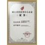 浙江省科技型中小企業(yè)證書(shū)
